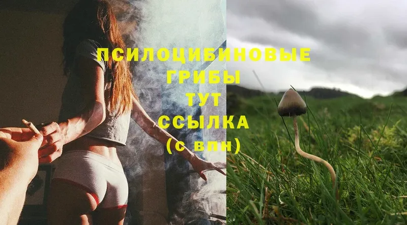 Галлюциногенные грибы MAGIC MUSHROOMS  дарнет шоп  Артёмовский 